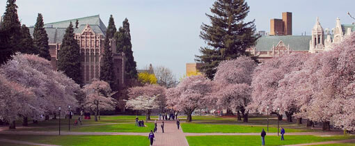 University-of-Washington–Seattle-masters-health-informatics
