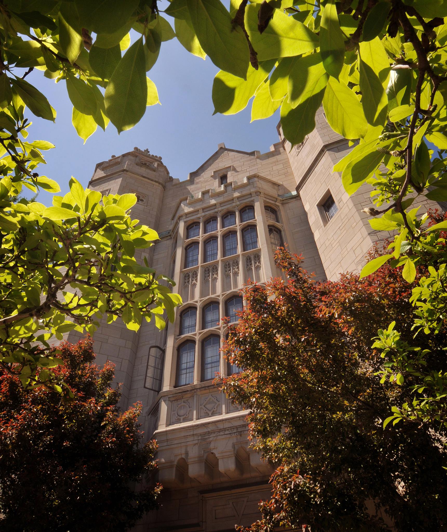 40 Best Bachelor’s Degrees in Dental Hygiene Healthcare